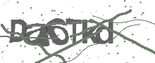 Captcha Bild