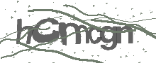 Captcha Bild