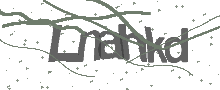 Captcha Bild