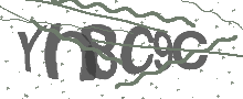 Captcha Bild