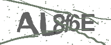 Captcha Bild