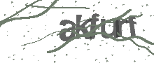Captcha Bild