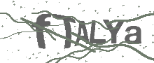 Captcha Bild