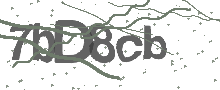 Captcha Bild