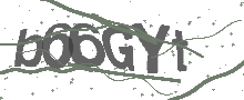 Captcha Bild