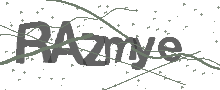 Captcha Bild