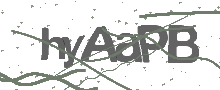 Captcha Bild