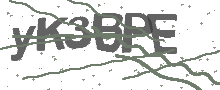 Captcha Bild