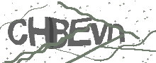 Captcha Bild