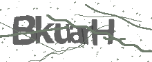 Captcha Bild