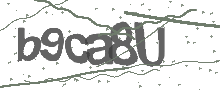 Captcha Bild