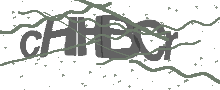 Captcha Bild
