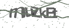 Captcha Bild
