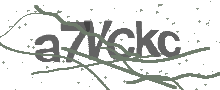 Captcha Bild