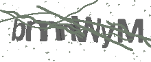 Captcha Bild