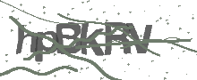 Captcha Bild