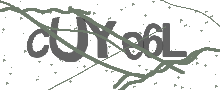 Captcha Bild