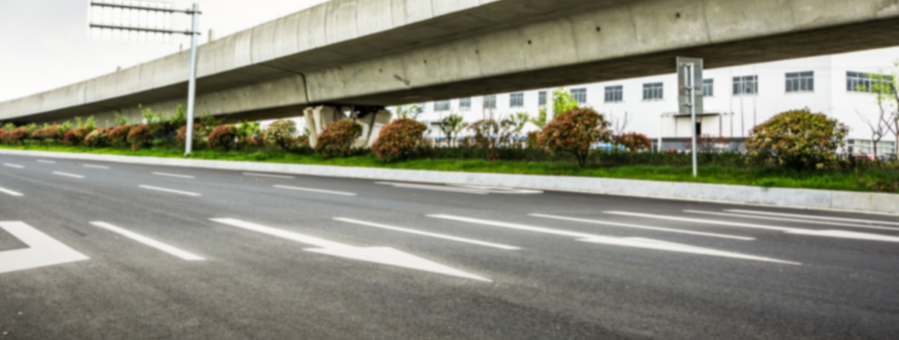 Cat-serie-speciale-01