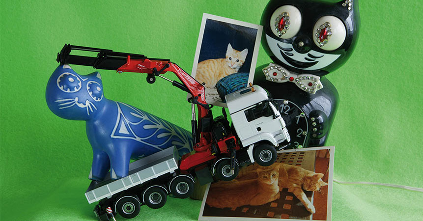 fassi-calendar-2015-january[1]