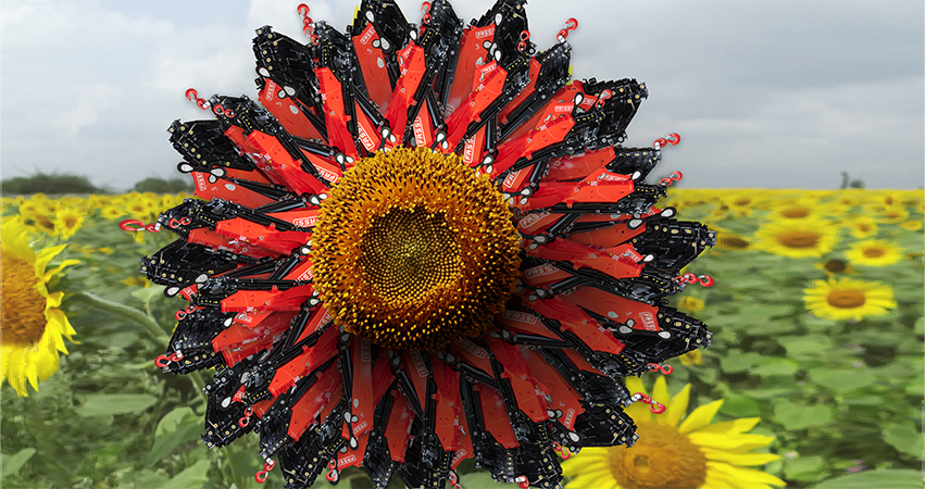 06-Sunflflower[1]