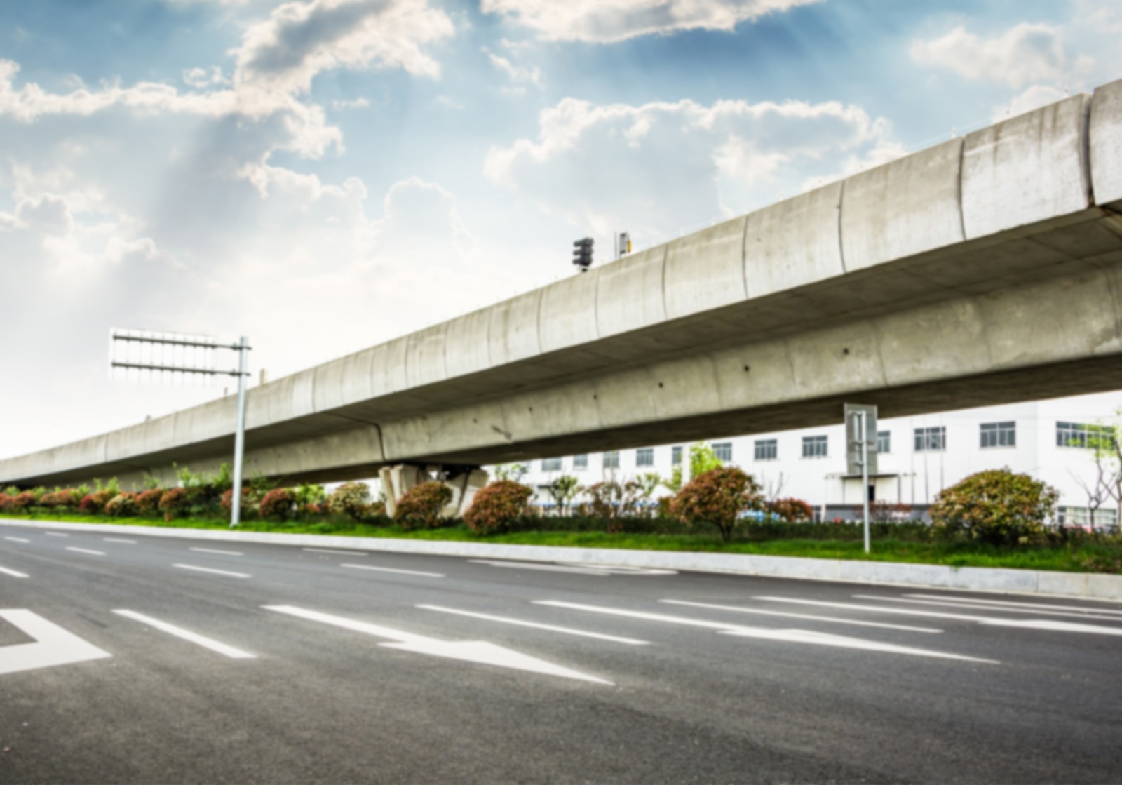 Cat-serie-speciale (1)